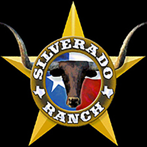  Dallas Mechanical Bull Rental and Sales Silverado Ranch Texas